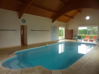 Maison avec piscine privative, proche châteaux de la Loire, 3 chambres, animaux acceptés, WiFi inclus - FR-1-491-413 - La Chapelle-Saint-Martin-en-Plaine - 9