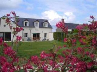 Maison avec piscine privative, proche châteaux de la Loire, 3 chambres, animaux acceptés, WiFi inclus - FR-1-491-413 - La Chapelle-Saint-Martin-en-Plaine - 0