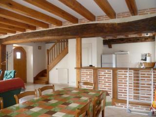 Gîte familial au cœur des Châteaux de la Loire avec jardin clos, barbecue et Wi-Fi inclus - FR-1-491-407 - Cour-Cheverny - 6