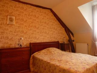 Maison avec piscine privative, proche châteaux de la Loire, 3 chambres, animaux acceptés, WiFi inclus - FR-1-491-413 - La Chapelle-Saint-Martin-en-Plaine - 1