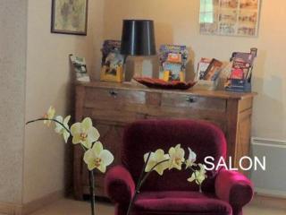 Maison familiale, nature et patrimoine, proche Chenonceaux - jardin, poêle à bois, équipements bébé - FR-1-491-411 - Couddes - 8