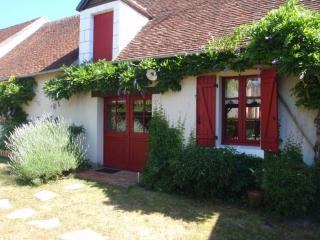 Gîte champêtre proche du Zooparc de Beauval, jardin privatif, vélos fournis, animaux acceptés - FR-1-491-405 - Pouillé - 0