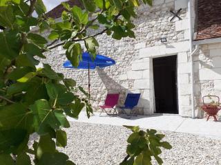 Gîte de charme proche du ZooParc de Beauval - 2 terrasses, jardin, cheminée, clim, parking gratuit - FR-1-491-408 - Meusnes - 7