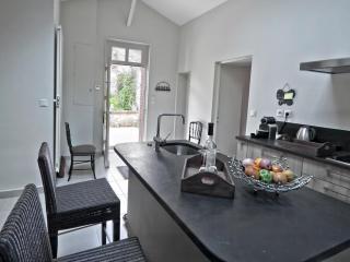 Gîte de Charme au Cœur de Blois avec Jardin Privé, Garage et Équipements Modernes - FR-1-491-425 - Blois - 8