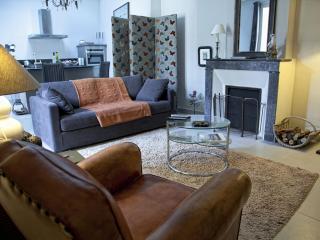 Gîte de Charme au Cœur de Blois avec Jardin Privé, Garage et Équipements Modernes - FR-1-491-425 - Blois - 4