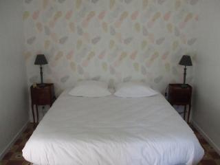Maison 8 min du Zoo de Beauval, jardin, cheminée, tout inclus, proche Châteaux de la Loire - FR-1-491-429 - Châteauvieux - 4