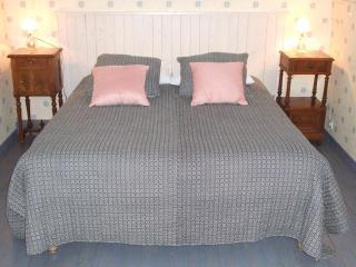 Maison 8 min du Zoo de Beauval, jardin, cheminée, tout inclus, proche Châteaux de la Loire - FR-1-491-429 - Châteauvieux - 3