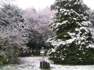 Maison 8 min du Zoo de Beauval, jardin, cheminée, tout inclus, proche Châteaux de la Loire - FR-1-491-429 - Châteauvieux - 8