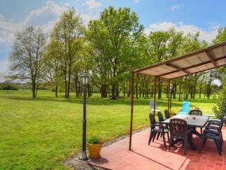 Maison familiale confortable avec grand jardin, proche des châteaux de la Loire et zoo de Beauval - FR-1-491-433 - Soings-en-Sologne - 6