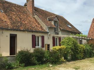 Gîte rustique avec cheminée, jardin, vélos à dispo, proche châteaux de la Loire et ZooParc de Beauval - FR-1-491-442 - Nourray - 0