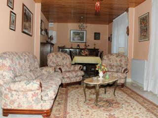 Gîte au cœur des châteaux de la Loire, jardin privé, garage, 2 chambres, proche Chambord et Beauval - FR-1-491-435 - Huisseau-sur-Cosson - 7