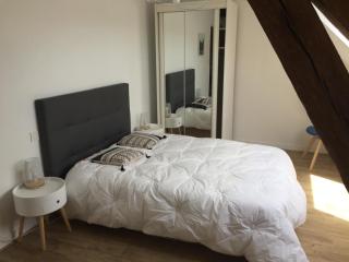 Gîte spacieux avec cheminée et salle de jeux - FR-1-491-442 - 3