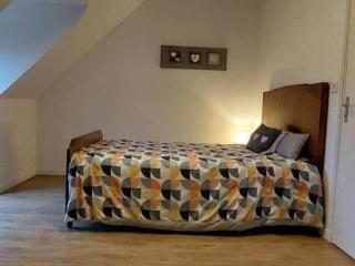 Gîte spacieux avec cheminée et salle de jeux - FR-1-491-442 - 1