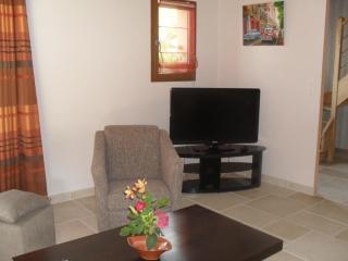 Maison spacieuse en Sologne avec grand jardin, proche randonnée, terrasse, parking privé - FR-1-491-437 - Chaon - 3