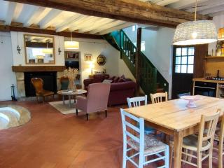 Gîte de charme en Sologne avec grand confort, 3 chambres, cheminée, jardin et promenades en forêt - FR-1-491-438 - Theillay - 3
