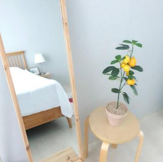 Stay Haneul - Gimhae - 6