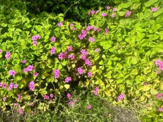 Chambre au calme - 5