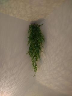 Cozy 2 Bedroom Apartment with Terrace Near the Beach and Park - 4