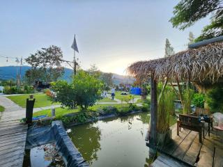 ลูกช้างเขาใหญ่แคมป์ - 7