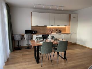 Apartmán Panorama Park - Hike, Ski & Relax - - 8