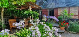 Aplagårdens vingård - Helsingborg - 8
