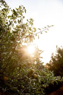 Kate Owen Art House - 6