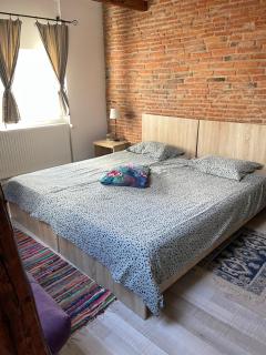 Blue House - Brasov - 6