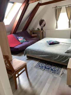 Blue House - Brasov - 5