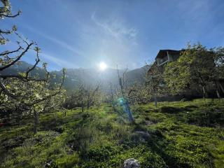 heavens retreat manali - Manāli - 8