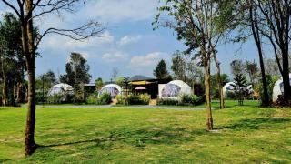 Greatland Glamping Khao Yai Resort - Ban Khanong Phra Tai - 6