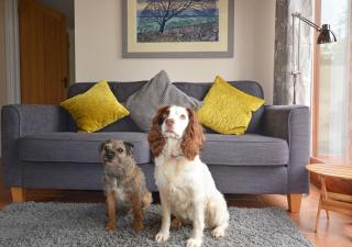 Golden Lion Barn - Thursford - 3