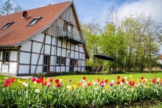 Ferienwohnung mit Sauna Zum alten Fritz - Versmold - 8
