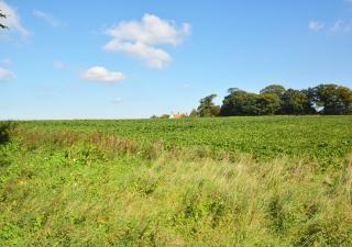 The Magazine - Sedgeford - 6
