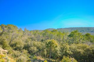 Villa Quadrille - Lorgues - 5