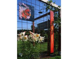 Living Lust 3 in Malchow - Malchow - 5