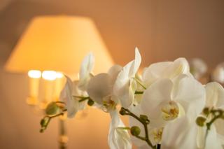 Hotel Haus Arenberg - Salisburgo - 3