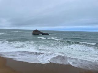 FANTASTIC OCEAN VIEW - Biarritz - 0