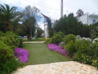 Apartamento Ciel Azul - Cala Llenya - 1