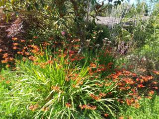 Hobreid Park - Woodend - 6