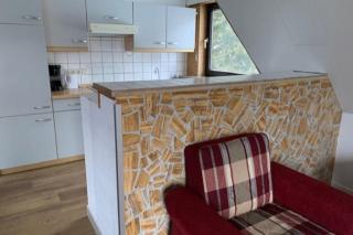 Dubbel appartement tot 14 personen Westfeld - Schmallenberg - 4