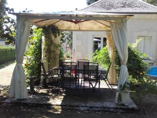 Maison de plain-pied avec parc arboré proche Zoo de Beauval - FR-1-491-335 - 0