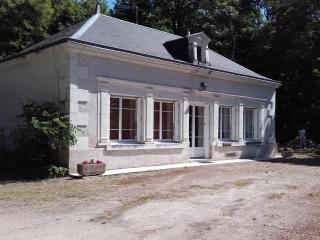 Maison de plain-pied avec parc arboré proche Zoo de Beauval - FR-1-491-335 - 9