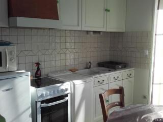 Maison de plain-pied avec parc arboré proche Zoo de Beauval - FR-1-491-335 - 2