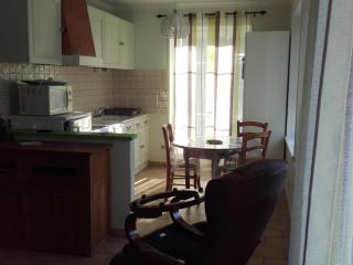 Maison de plain-pied avec parc arboré proche Zoo de Beauval - FR-1-491-335 - 1