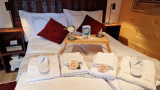 Large deluxe studio for 2 - Chalet Lovo - Lenk - 2