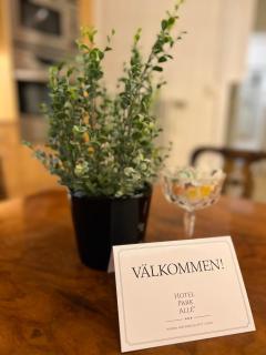 Hotel Park Allé - 2