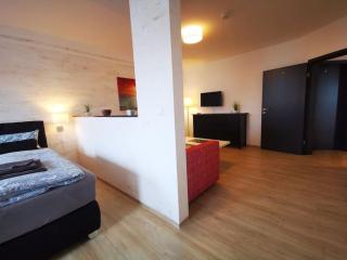 Moderne Ferienwohnung in Zwickau - Zwickau - 4
