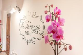 La Terrazza Felice - in centro a Perugia - 5