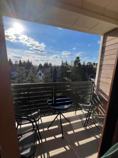 Apartman Zlatiborska smreka - Zlatibor - 3