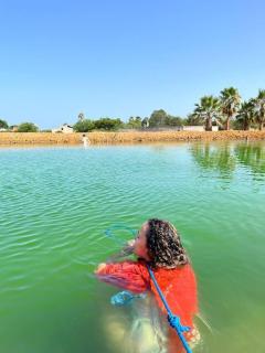 Glamping on Organic Yoga Farm with Natural Swimming Pool near Beach - 4